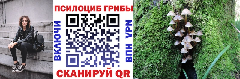 Псилоцибиновые грибы MAGIC MUSHROOMS  где найти наркотики  darknet состав  Курган 
