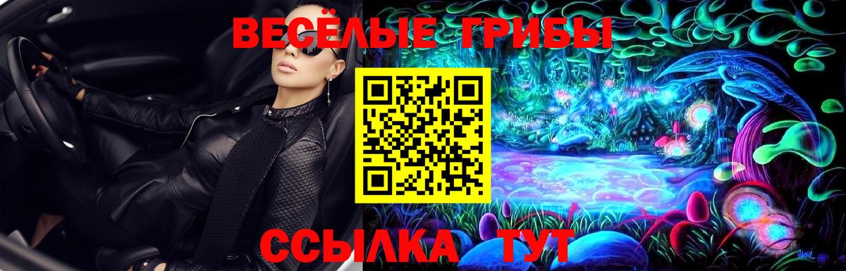 Курган  Псилоцибиновые грибы Psilocybe  Вход с VPN 